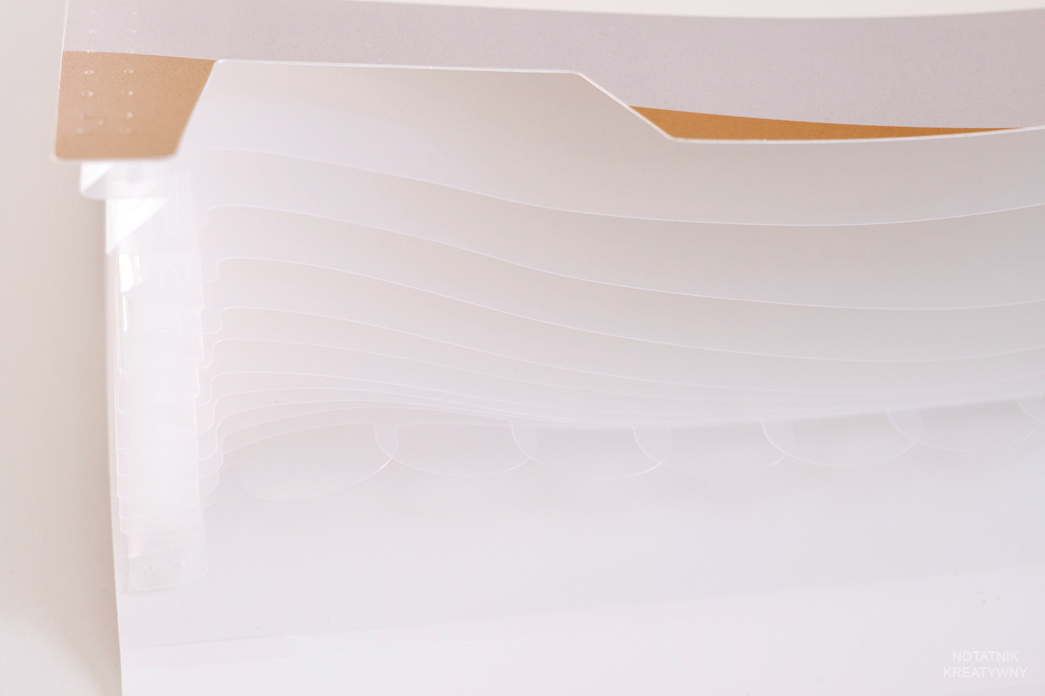 Biedronka haul przybory szkolne złote kayet of